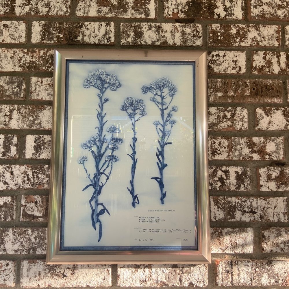 Blue and White Modern Classic Botanical Flower Framed Wall Art PEARLY EVERLASTIN